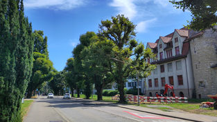 General Guisan-Strasse in Zofingen