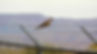 Symbolbild von Matthias Koranzki / pixelio.de