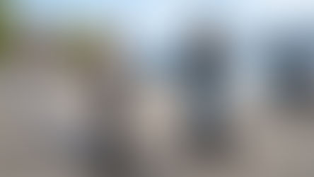 Auch bei den E-Scootern kicken die Schweizer die Amis raus und kaufen Chinesen