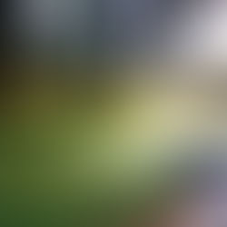 Muri: Gleich sieben Männer als Temposünder erwischt