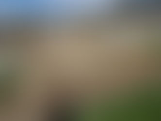 Oberstufenzentrum Zofingen: Ein Vergabeverfahren wird wiederholt. Bau via Webcam mitverfolgen.