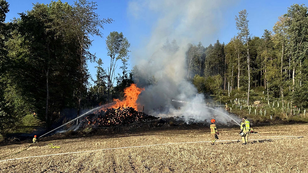 Koblenz: Brand eines Holzlagers löst Grosseinsatz der Feuerwehr aus