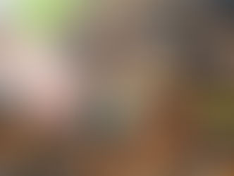 Schynenalp bei Trub: Vermisster Pilzsammler tot aufgefunden