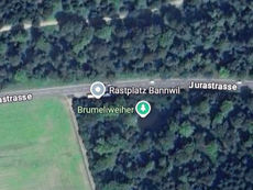 Bannwil: Zwei Schwerverletzte bei Kollision zwischen Auto und Lieferwagen