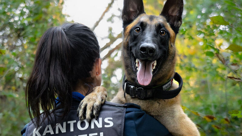 Einmal mehr hat Diensthund Malouk zwei mutmassliche Einbrecher aufgespürt. (Foto: Kapo AG)
