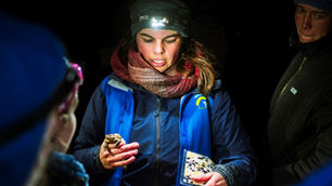 "Küss den Frosch": Amphibien-Crashkurs im Naturpark Thal