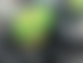 Neuenhof: Traktor verliert Vorderrad - Diesel ausgelaufen