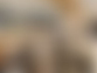 Rückblick 2023: Lidl Schweiz wächst