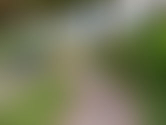 Grenchen erhält erneut das No-Littering-Label