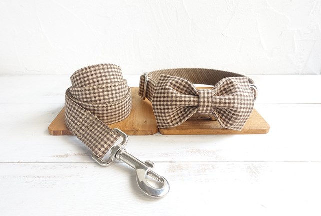 Teddy Dog Pen and Leash Set for Pets