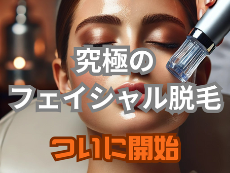 毛穴洗浄とフェイシャル脱毛の最強ハイブリッドプラン|文京区本郷のプライベート脱毛サロン アイビー