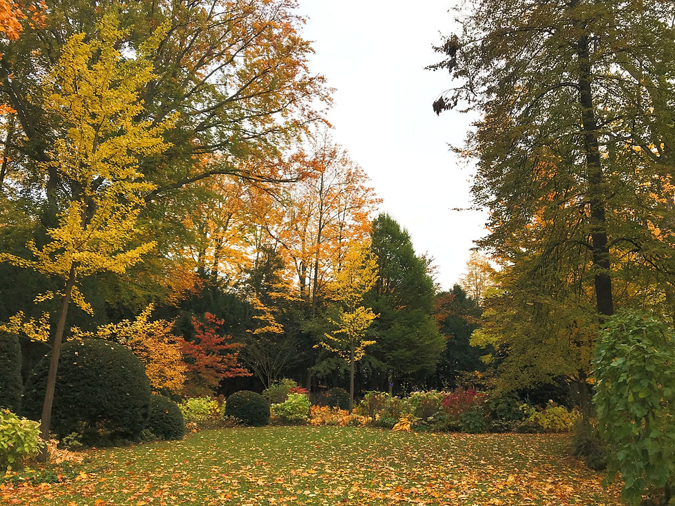 Corona, Corona, Corona... so kommen wir gut durch den Herbst!