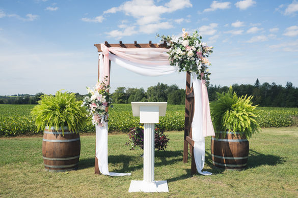 Cynthia & Jeannot-1463.jpg