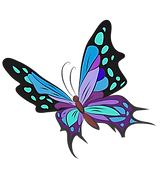 彩色蝴蝶.png