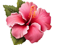 红花-PNG.png