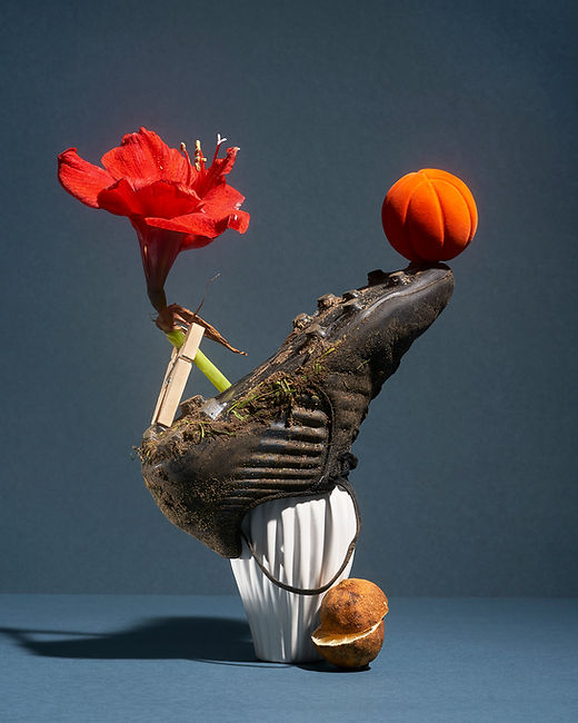 Fußballschuh.jpg