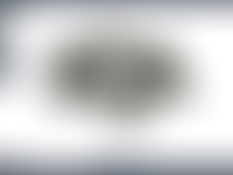 Week of 11/17 - 11/21