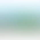 Como as empresas podem se beneficiar com a Gestão Ambiental?
 