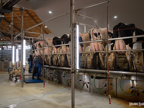 Record milk components continue to roll