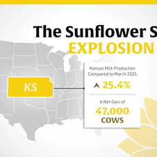 The Kansas Explosion: Cow Numbers Surge as U.S. Milk Production Climbs