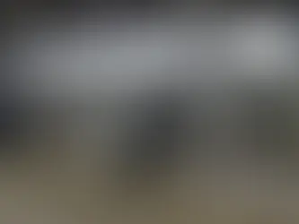 Can You Afford Today’s High-Priced Heifers?