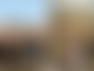 Cattle and Hog Prices End 2024 Higher with Cattle Prices Record High