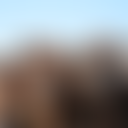 More dairy cows headed to second career: beef