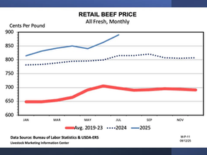 Outlook for beef demand