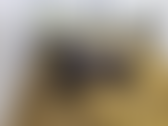 Optimizing rumen development through starches in beef-on-dairy calves