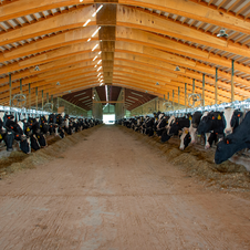 Sage advice for multi-site dairies