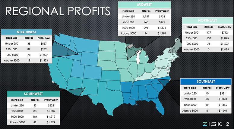 Screenshot 2025-01-06 at 9.12.31 AM.png