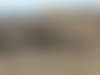 Smokehouse Creek Fire is Officially the Largest in Texas History