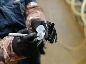 California Issues State of Emergency Warning in Response to More Bird Flu Found on Dairies