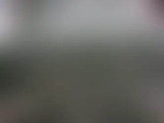 U.S. Dollar Sees Worst Weekly Drop Since 1995