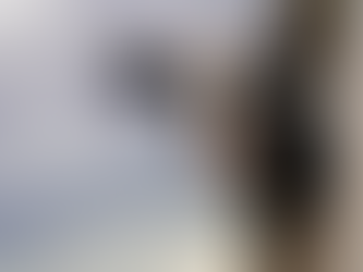 Don’t Skimp on the Starter