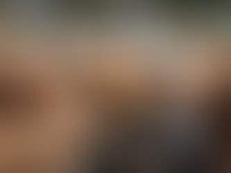 Cattle futures surge to contract highs