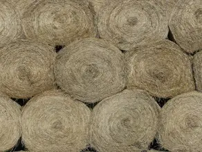 Data Shows Larger Hay Supply and Lower Hay Prices
