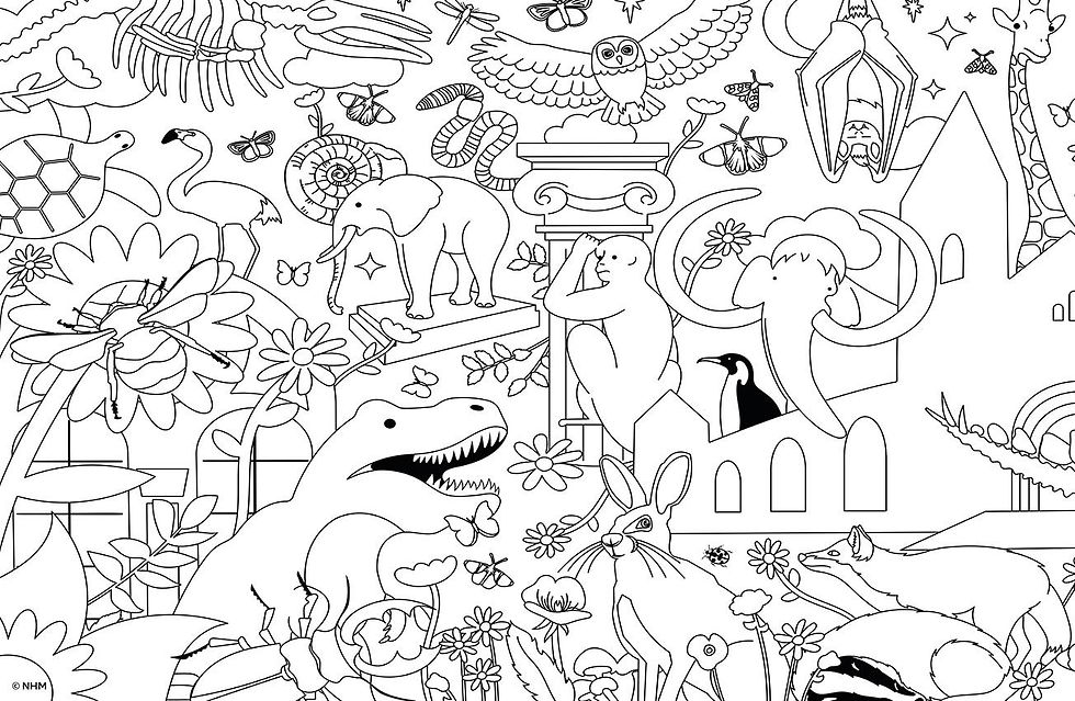 Thumbnail: Natural History Museum Colouring Jigsaw 2 x 100 Piece Puzzle Set