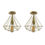 Thumbnail: 2 Pack Black Vintage Flush Mount Ceiling Light Fixture Metal Cage Ceiling Lampsh