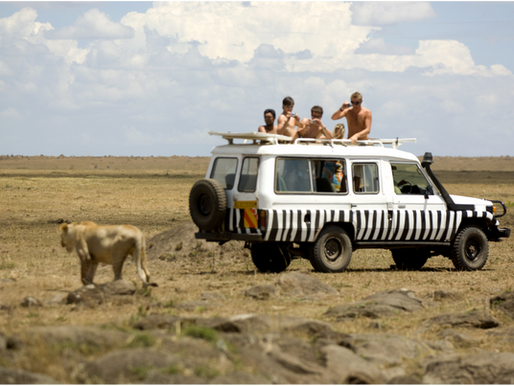 Chasing the Big Five : 5-Day Masai Mara Safari