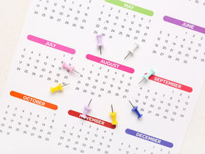 Best Wildlife Experiences by Month: A 12-Month Global Calendar