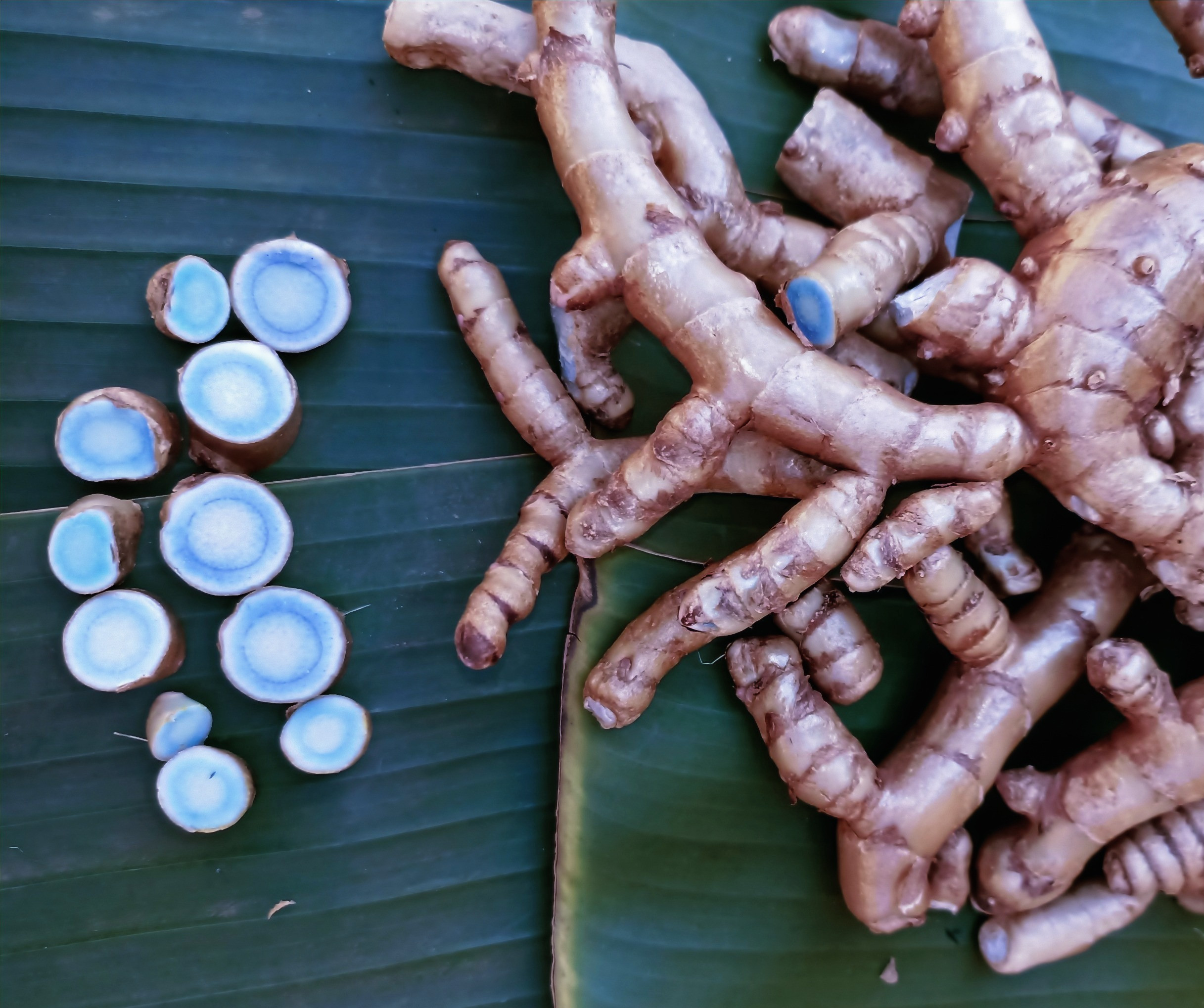 Black Turmeric Raw