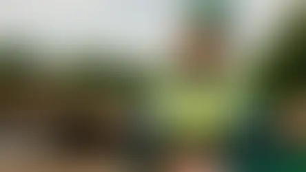 Redução de riscos terceirizando