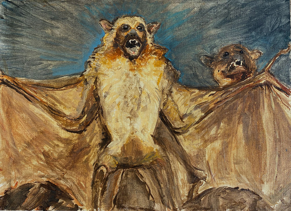 Querelleur