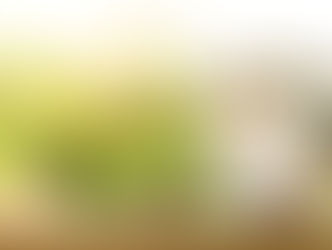 Mais c’est quoi mon modèle économique ?