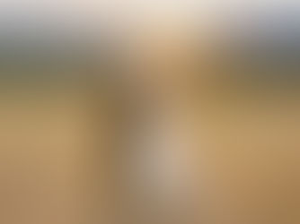 A Journey of Love: From Driving Ranges to Endless Laughter- Lovestruck Portraits-Radium hot springs