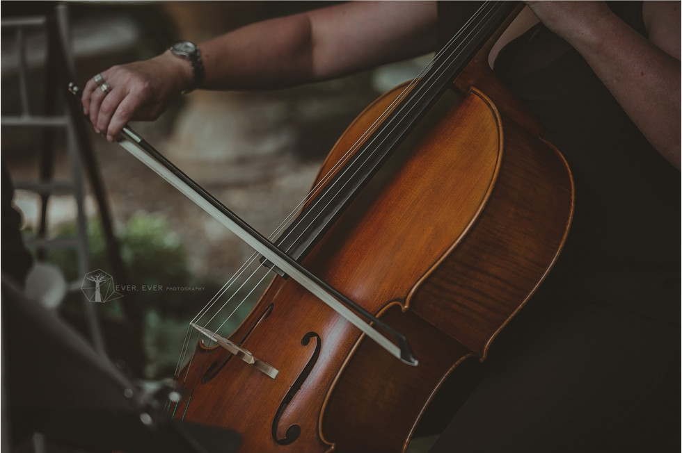String Quartet - Ever Ever Photography 1