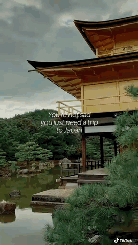 download(1).gif