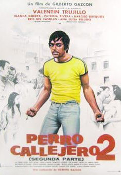 Perro callejero 2
