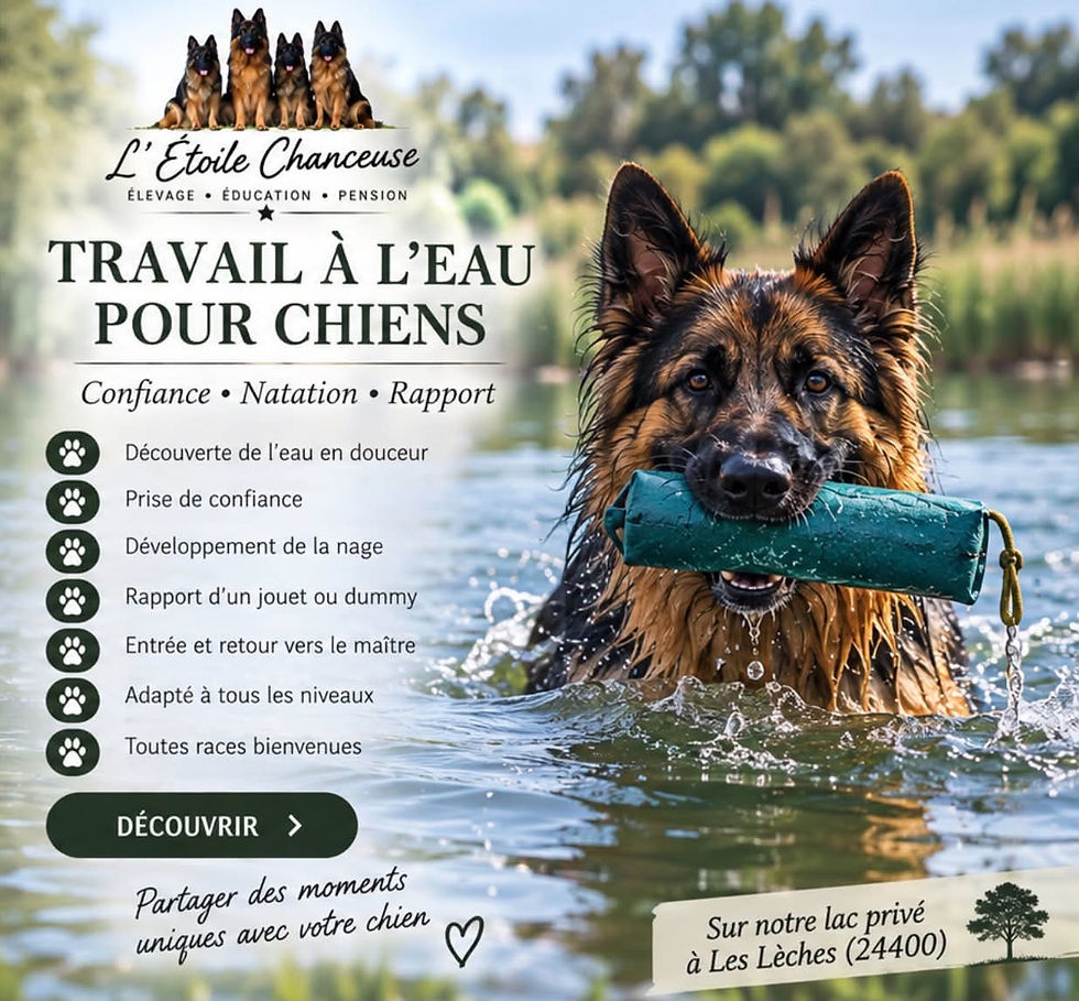 Travail dans l'eau.jpg